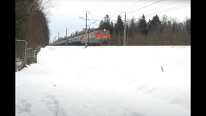 Электровоз ВЛ10У-494 c поездом на перегоне Левашаво - Белоостров