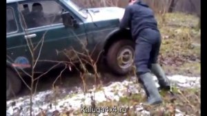 Нивы на прогулке.