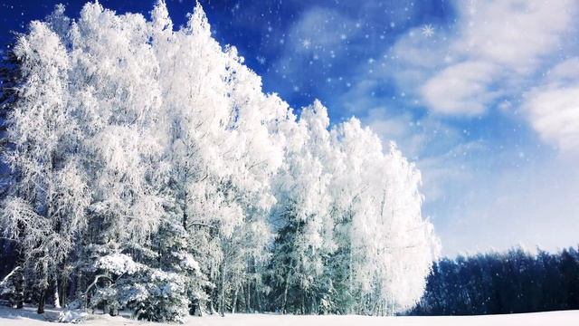 Белые сказки зимы. Красивое видео под музыку! смотреть онлайн