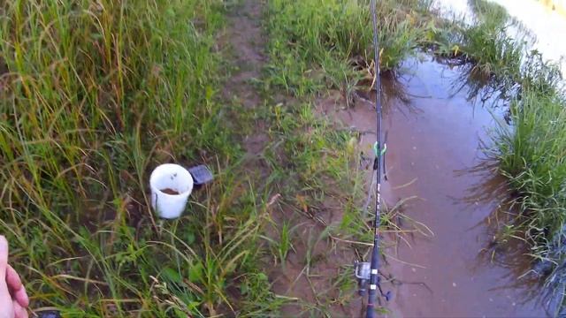 РЫБАЛКА ОКА СЕНТЯБРЬ 2019 смотреть онлайн