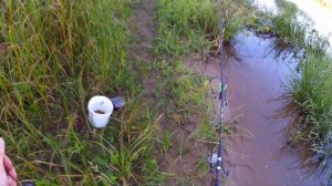 РЫБАЛКА ОКА СЕНТЯБРЬ 2019