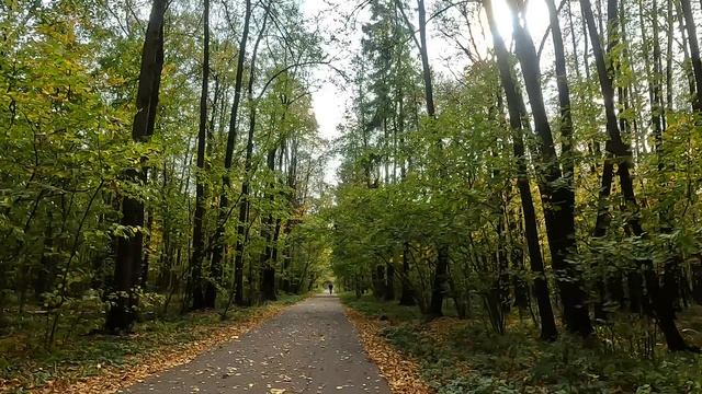Лосиный остров (Гольяново) прогулка