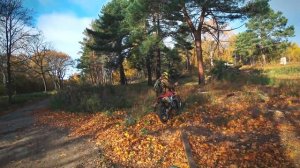 СЛУЧАЙНО обнаружили ПОИСКОВЫЕ ОТРЯДЫ за ДРАГОЦЕННОСТЯМИ! - 19 часть