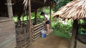Full Video 30 Days Go To Market Sell - Harvesting Coconut Fruit, Harvest Banana & Watermelon