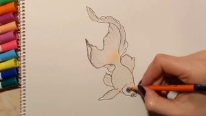 как нарисовать золотую рыбку | how to draw a fish
