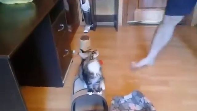 0 02 04 b3e930916f19d9c24b1017896f06b6c52997c0960e968369545784fb6f6aece4 3e3cfce смотреть онлайн