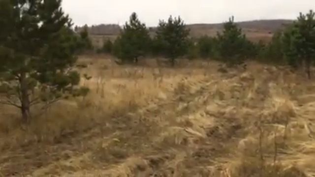 Земельный участок под материнский капитал. Строительство.