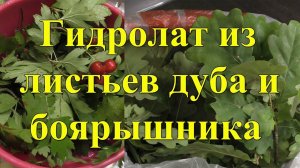 Гидролат из листьев дуба и боярышника