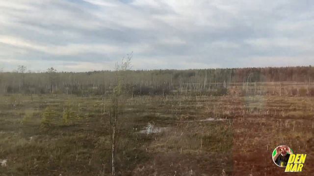 Простой и мой любимый маринад для шашлыка. Вкусный и мягкий шашлык на природе смотреть онлайн