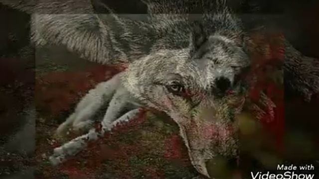 Статус/ по грустоному грустный/ дшб смотреть онлайн