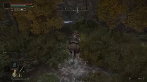 Лучший фарм РУН в Элден Ринг! 2К за секунды! Best Rune Farm Exploit Elden RIng
