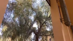 ВОСТОРГ! Я такого РАЙСКОГО места не ВИДЕЛ. ОАЭ. The Ritz-Carlton. Рас-ель-Хайм