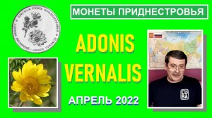 Монета: Адонис весенний / Памятные монеты Приднестровья