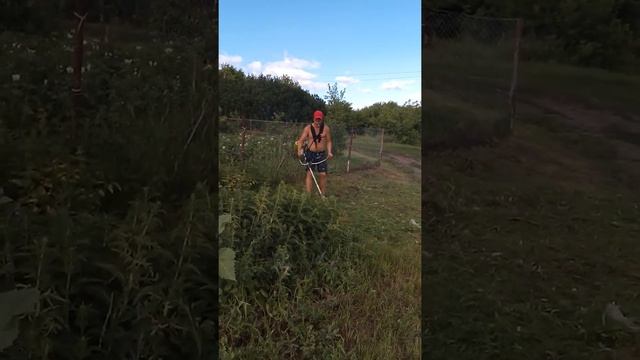 липецкая область Данковский район с. Ярославы