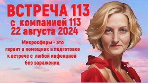 Встреча 113 С.Крисько с компанией SBM от 22.08.24 об изделиях "Артрейд" (подушка, накидка на кресло)