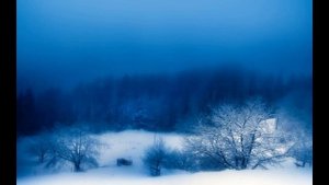 Есенин С.А. - Синий туман. Снеговое раздолье