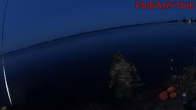 Рыбалка на Вышневолоцком Водохранилище.  Чуть не дали дуба в Июне. Летний фидер.