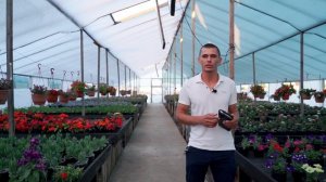 Приглашение на мастер класс "Как открыть свой бизнес на цветах и зарабатывать 100-500 т.р.\мес."