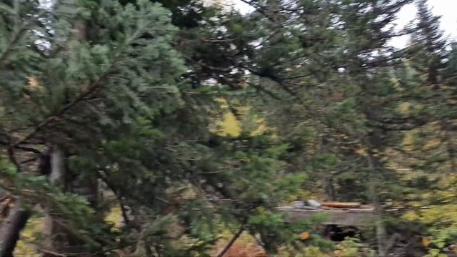 Буровая установка на базе трелевочника. УРБ 2Д3