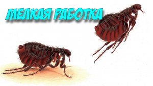 Мелкая работа (мини-зарисовка)