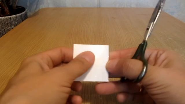 Как сделать автокормушку для аквариума своими руками за 10 минут