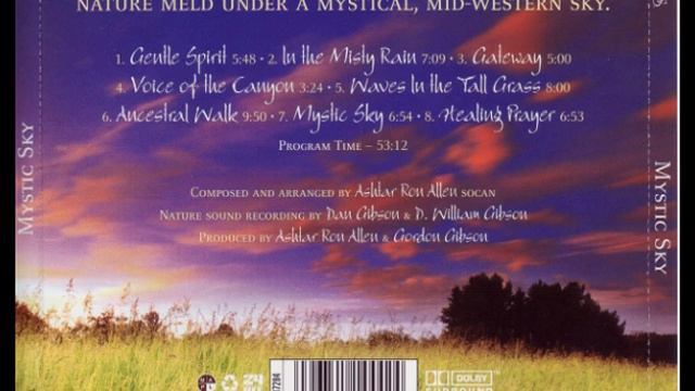 Dan Gibson - In The Misty Rain ( Mystic Sky Solitudes Album ) смотреть онлайн