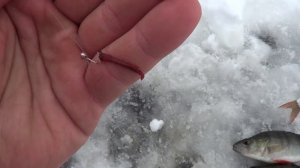 Это лучшие мормышки для ловли окуня! Окунь клюет даже в непогоду!