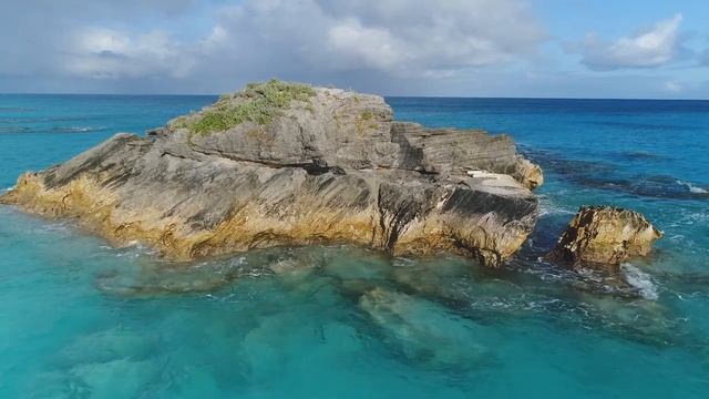 [4K UHD] Красивые дикие животные и расслабляющая музыка для снятия стресса смотреть онлайн