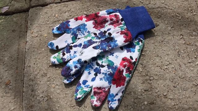 Gewinnen Sie Magical Gartenhandschuhe! (Vlog 3) смотреть онлайн