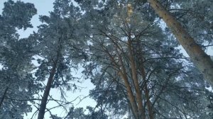 Ермолаево!!! Красноярский край! февраль 2022г.