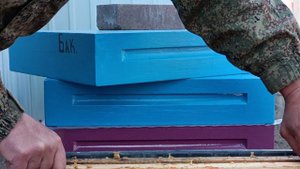 Племенная матка бакфаст,,, ну не чем не лучше племенной матки карпатки