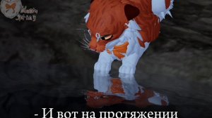 Wcue / Коты Воители / Глаза.. / Meme