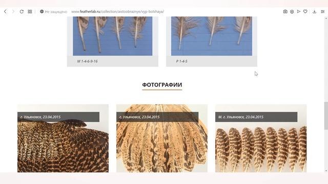 PRO перо 3 смотреть онлайн