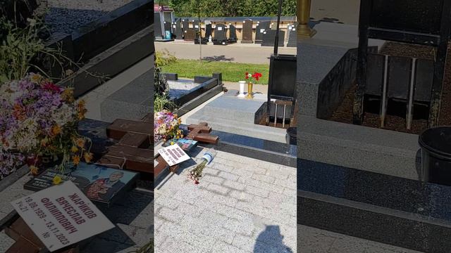 Троекуровское, 27июль2024г.