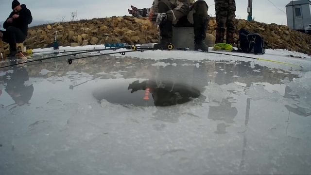 КАРП на платнике ЗИМОЙ! БЕШЕНЫЙ КЛЕВ! ПОКЛЕВКИ крупным планом!.mp4