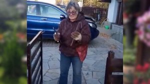 Плетистая роза - подготовка к зиме