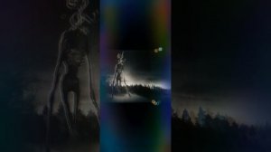 Звуки сиреноголового