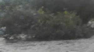 ЕАО Октябрьский район Участок дороги от с Пузино до с Благословенное 2)