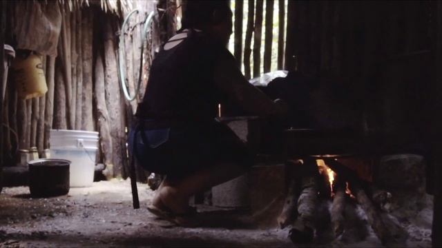 Organic Mermelade. Melipona Bees Valladolid смотреть онлайн