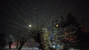 Вечер перед Рождеством