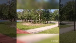 Круговая тренировка. Развитие общей выносливости.