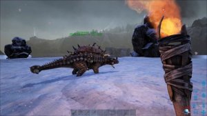 Несколько советов новичкам по игре ARK Survival Evolved