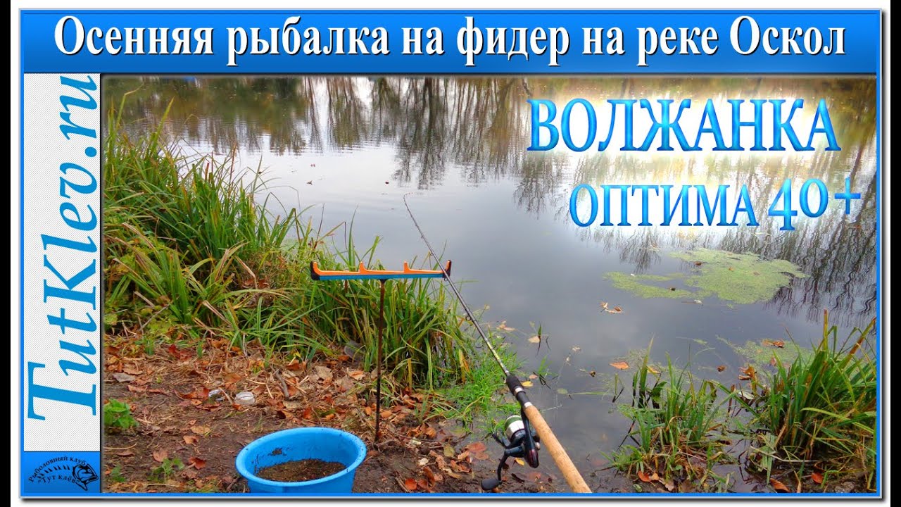Осенняя рыбалка на фидер Волжанка Оптима на реке Оскол.mp4
