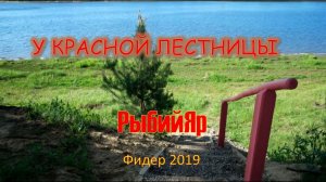 Кубок РыбийЯр 2019