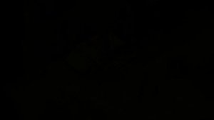 Прохождение The temple of elemental evil (серия 2) Прибытие в Хоммлет