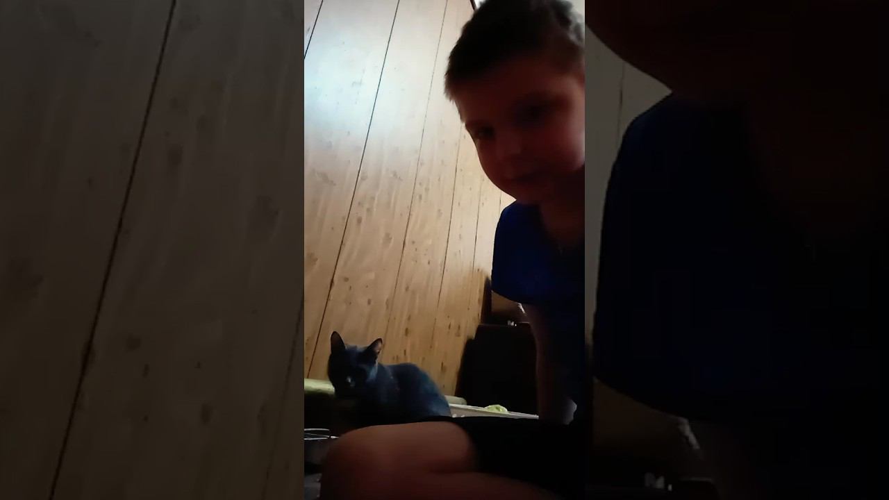 Муся как ощущение 2 ! смотреть онлайн