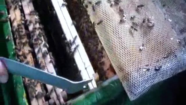 Случной пункт .wmv смотреть онлайн