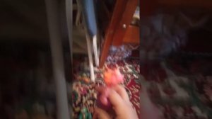 аниматроники из страны чудес Вилли