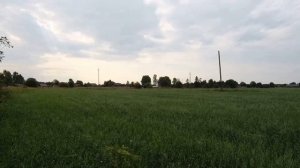 ДЕРЕВЕНЬКИ | Тимошино, Подберёзка, Новинка, Угловая | Бабаевский район