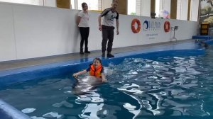 Ярославль. Dolphin Planet
